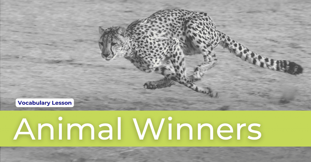 Banner for reading topic about Animal Winners